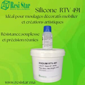 Silicone  RTV R491 / 5 K